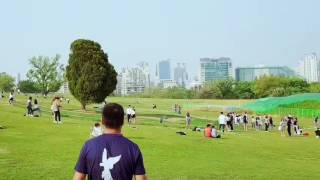 올림픽공원 진국이,진홍이 앵무새 자유비행