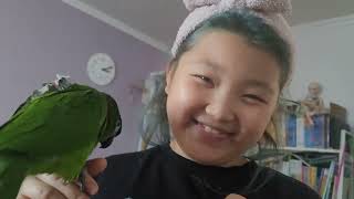 꽁패.앵무새.한스마카우.뽀미.한나.목욕.잠시안녕.2023.1.31