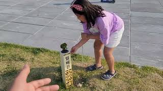 꽁스패밀리.앵무새.한스마카우.뽀미.한강 산책.2022.5.22