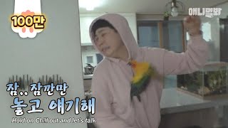 앵무새한테 멱살 잡힌 썰 풉니다 ㅣ Anyone Had Your Collar Grabbed By A Parrot?