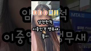 이중인격 앵무새 #코뉴어 #앵무새 #파인애플코뉴어 #이…