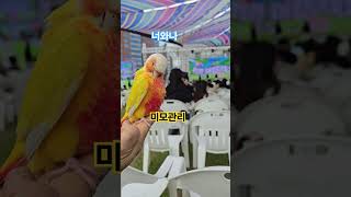 어린이 날 행사장.코뉴어아리랑.김용빈 너와나