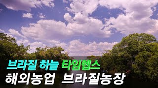 브라질 하늘의 멋진 구름,브라질하늘 타임랩스,구름 퍼레이드,명품하늘,멋진구름 영상,구름동영상,구름타임랩스,파란하늘,청정하늘,푸른하늘,아름다운구름