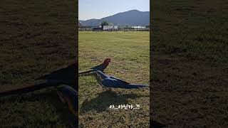 양아치 청금강 '이오늘'