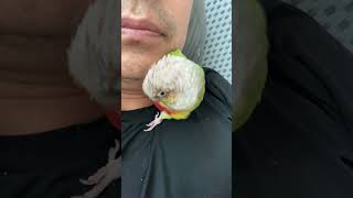 소망이의 일상(코뉴어)