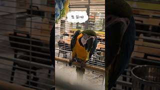 #청금강 사랑해~♡