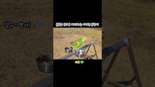 몰루칸 코카투 따라하는 아마존 앵무새 / 몰루칸코카투가 두마리!? / parrot imitating/ #shorts