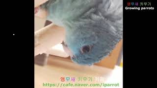 어젯밤엔 너 뭐했니?