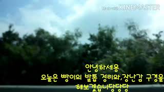 [아기앵무새]빵이 발톱깎기,장난감