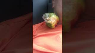 깊은 잠이 든 소망이(코뉴어)