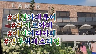 날아라 슈퍼버드 앵무새비행페스티벌 #청금강 #라미르카페 #용인대형카페 #베이커리카페 #앵무새나들이