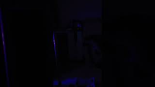 니가 오라고ㅡㅡ #macaw #청금강 #청금강앵무새