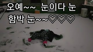 공서연.이런 눈은 난생 처음이야.2021.1.6