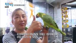 수학 천재 앵무새 &#39;사랑이&#39; [현장르포 …