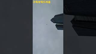 청금강앵무새 루카 #shorts