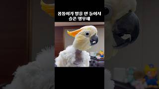 싫은데 좋고, 좋은데 싫은의 첫 출발점 #다시보고싶은영상