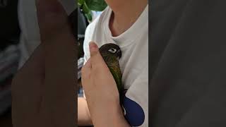 사랑스런 달봉이 #코뉴어