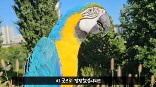 오늘이 다시 날 수 있게되었어요!!ㅠㅠ (청금강 자유비행)