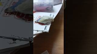 구름이의 종이뜯기 #speedsong #song #bi…