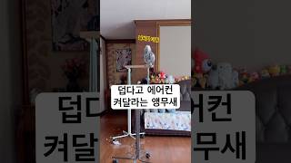자기 덥다고 에어컨 틀으라는 김루이쒸