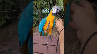 가질 수 없다면 버려버리겠어 #shorts #청금강