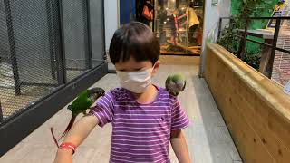 [지오지오튜브]동물원 앵무새