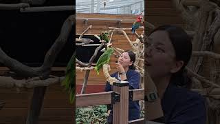 앵무새가 말을 한다고? 대전 오월드 버드랜드, 말하고 …