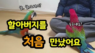 할아버지를 처음 본 아이들 / 새해 복 많이 받으세요~