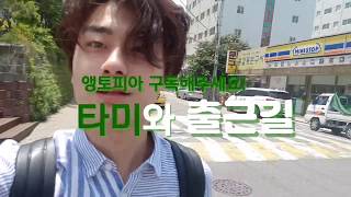 과묵한 앵무새 타미와의 출근길_#앵브이로그 #뉴기니아