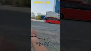 청금강앵무새 루카 자유비행 훈련 #shorts