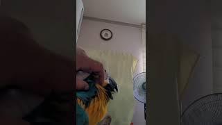 루카 긁어주는중 #macaw #청금강 #청금강앵무새