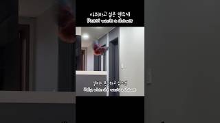 [젤리] 샤워하고 싶은 앵무새 / Parrot wants a shower