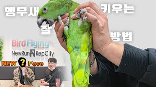 앵무새 잘키우는 방법 공개!  앵튜브 새로운 멤버 Ne…