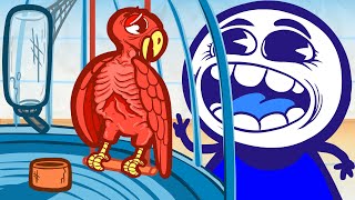 Pencilmate Gets POUNCED By a Parrot! | Animated Cartoons Characters | Animated Short Films