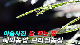 How to Take Beautiful Pictures…