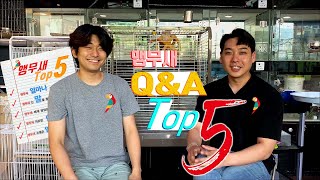 앵무새가 궁금해? 처음 조류원 방문하면 질문하는 Top5!