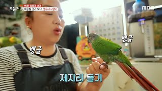 [생방송 오늘 저녁] 우리 동네 핫플 미용실?! 인기스타 앵무새 사랑이를 소개합니다~ 20200529