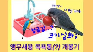 자동 앵무새용(?) 목욕통  개봉기