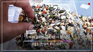 편식하는 코뉴어때문에 걱정되시면 이렇게 해보세요.