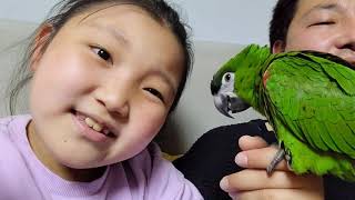 공서연.뽀미.한스마카우.집에서 서연이랑 뽀미 일상.2021.5.6