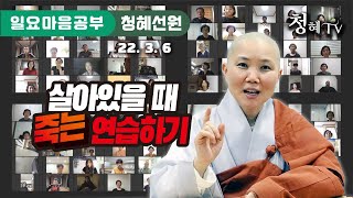 2022.03.06 청혜선원 010-4542-5241 …