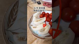 범인은 누구일까? #코뉴어 #앵무새