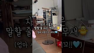 자기 이름도 알고 말할 줄도 알아요 #앵무새 #퀘이커앵…