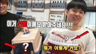 제 팬분께서 "초대형 괴물"을 선물로 들고오셨는데..ㄷ…