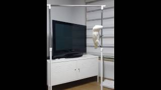 Umbrella Cockatoo "Tae sik" 엄브렐라코카투 태식이 봉타기