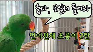 [뉴기니아 천재] 춥다 보일러 틀어라? 말하는 앵무새 …