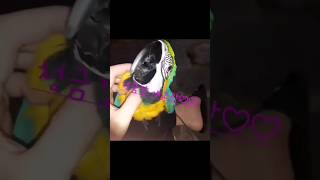 #앵무새 #청금강 #애교#사랑입니다 #앵무새카페