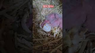 썬칙 코뉴어 넷째 파각중!