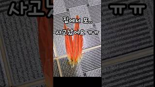 앵무새 밟힘 사고 ㅜㅠ #앵무새 #밟힘사고 #코뉴어 #…