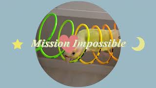 앵무새놀이 미션임파서블 EP.2 #parrot #앵무새…